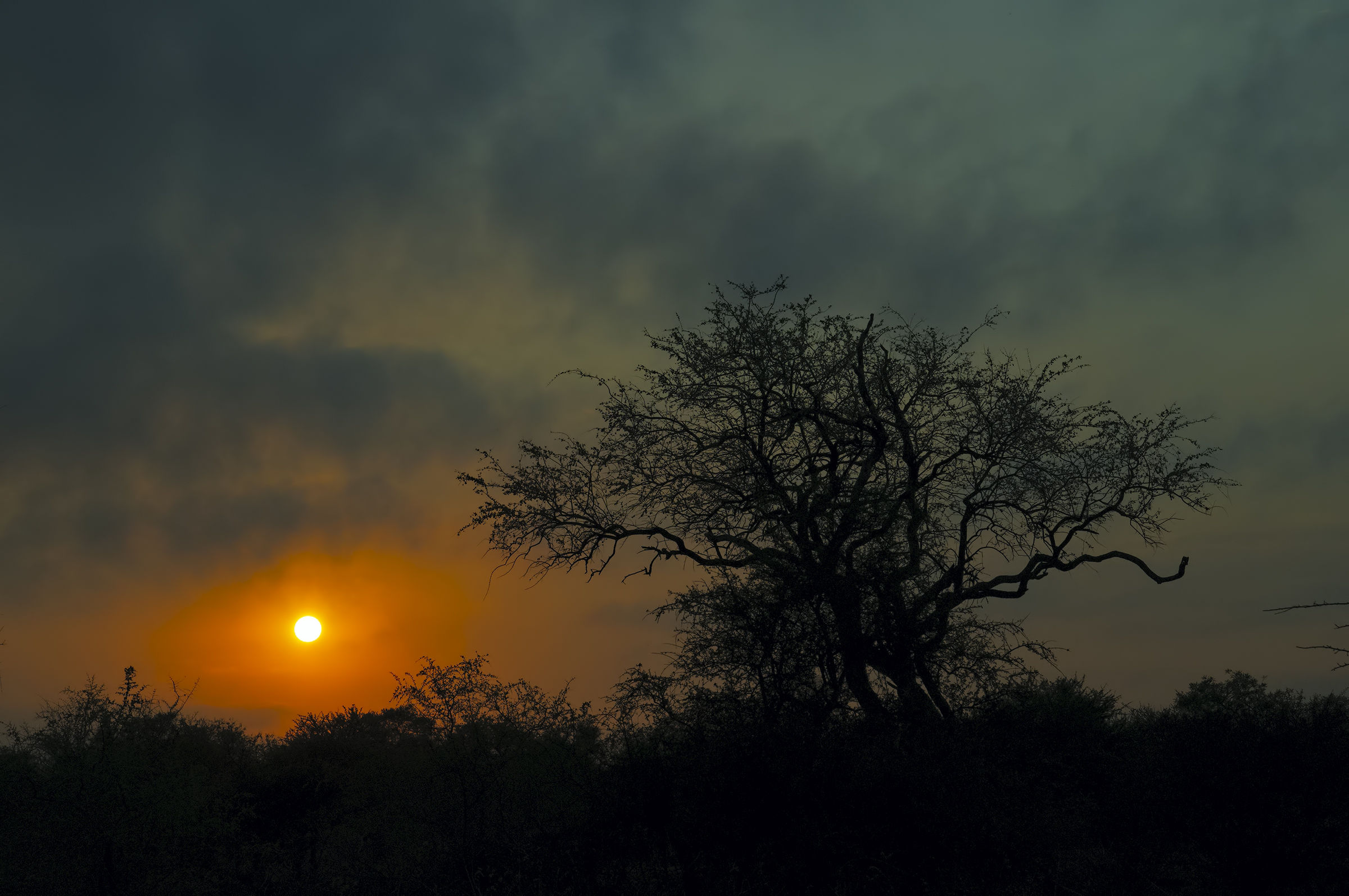 Sunrise at Kruger...