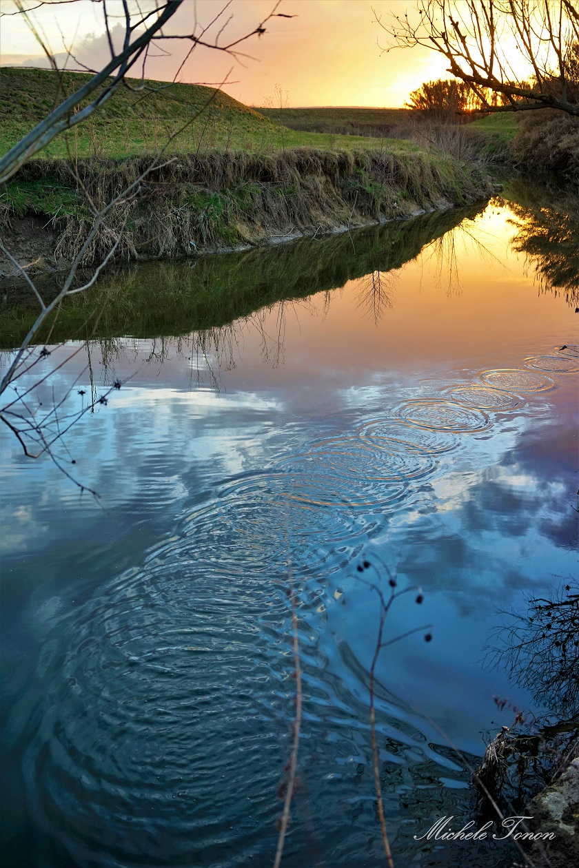the river Monticano (details at sunset)...
