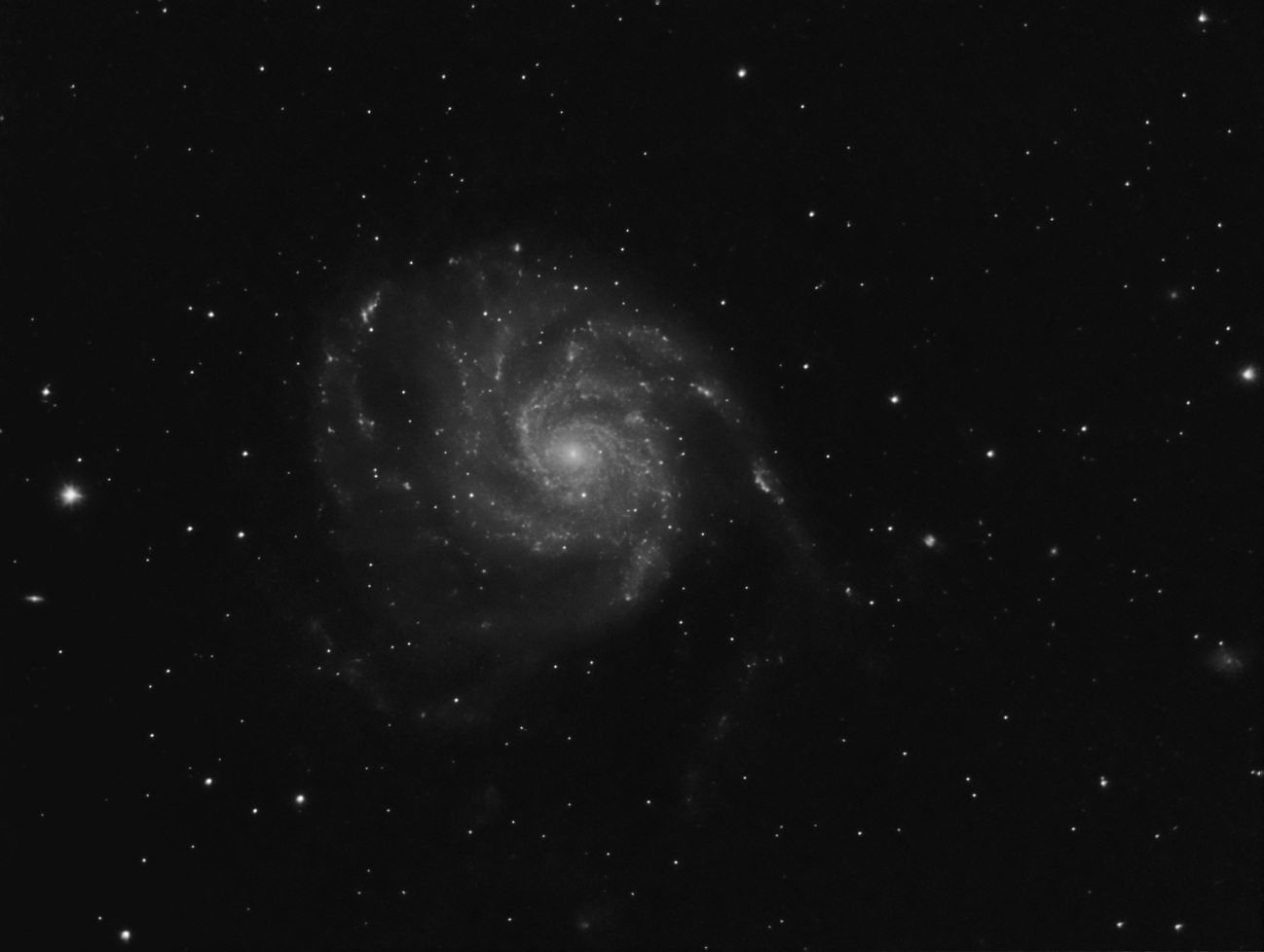m101 - The Pinwheel Galaxy in Ursa Major...