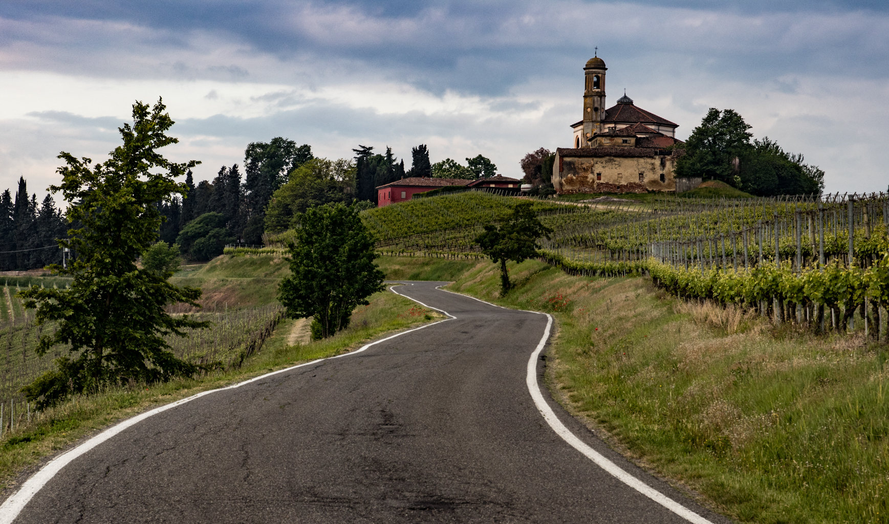 La strada per il castello di Luzzano...