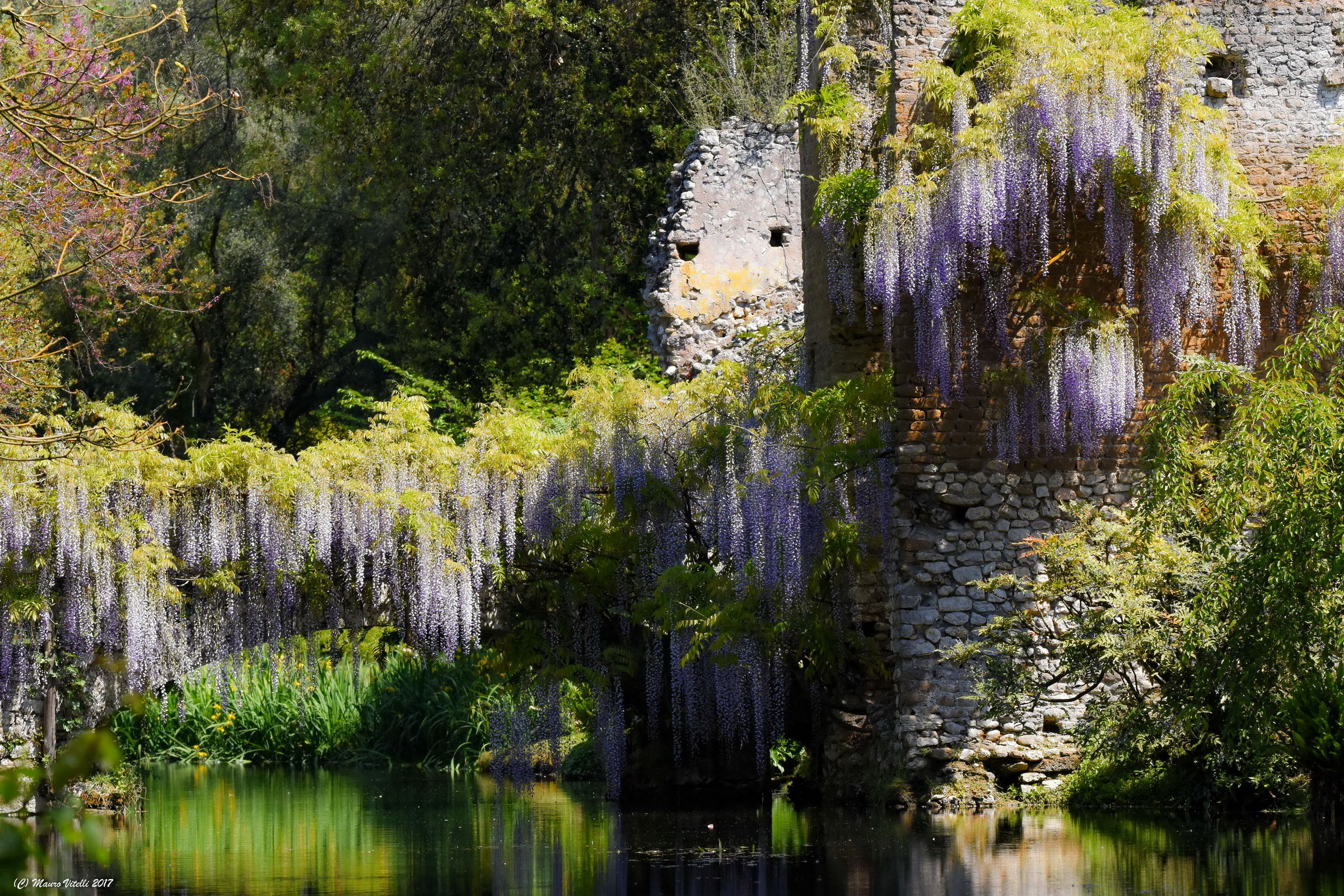 A view of the river Ninfa...