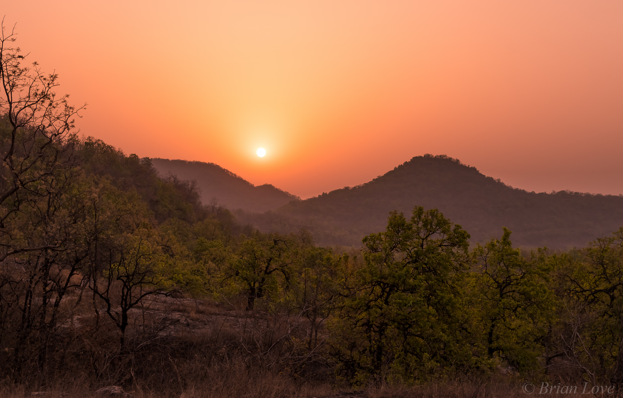 The Sun Rises On Another 42 Celsius Day In Bandhavgarh...