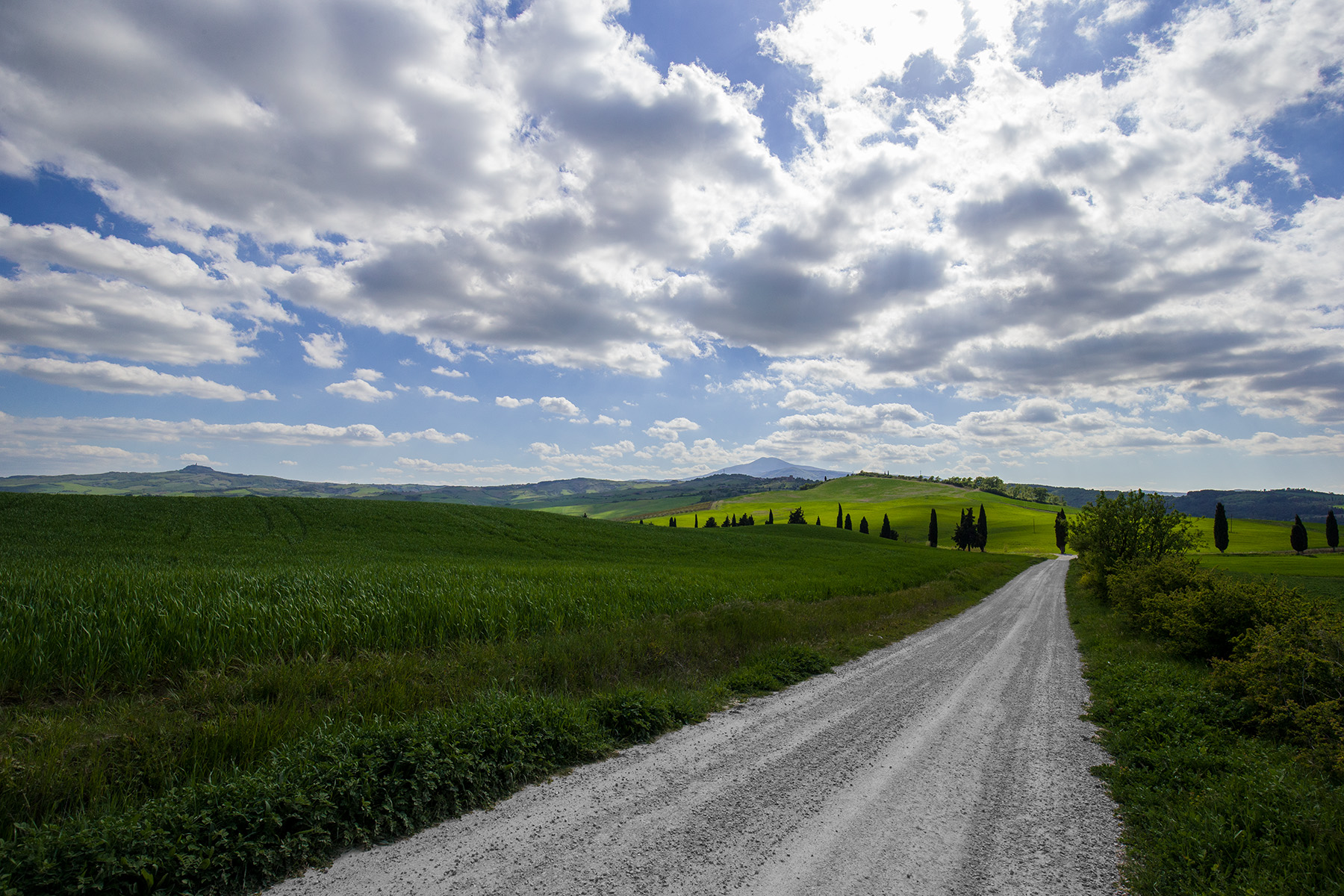 Val d'Orcia White Road...