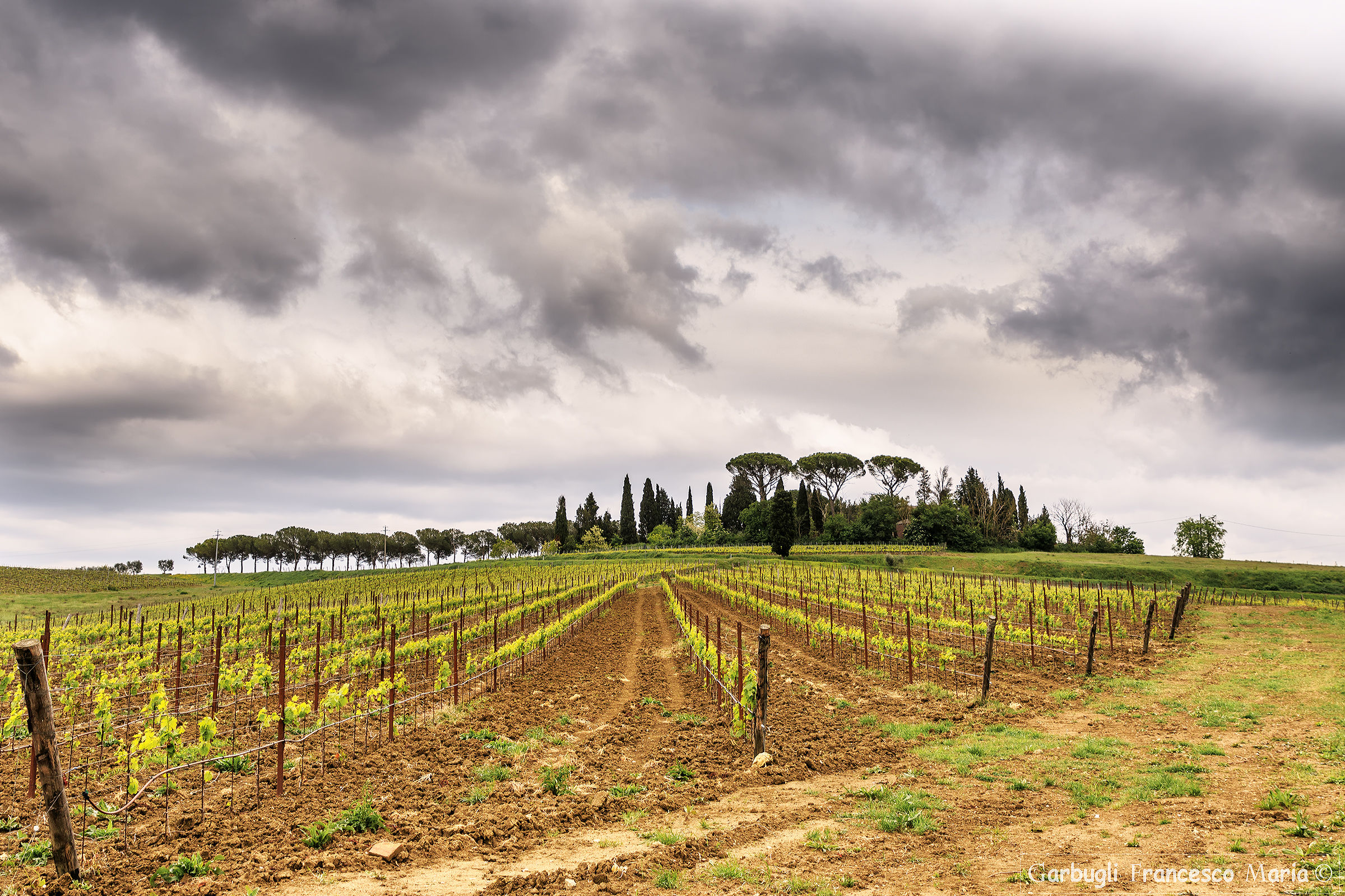 Cielo a pecorelle.... vino a catinelle!!!!...
