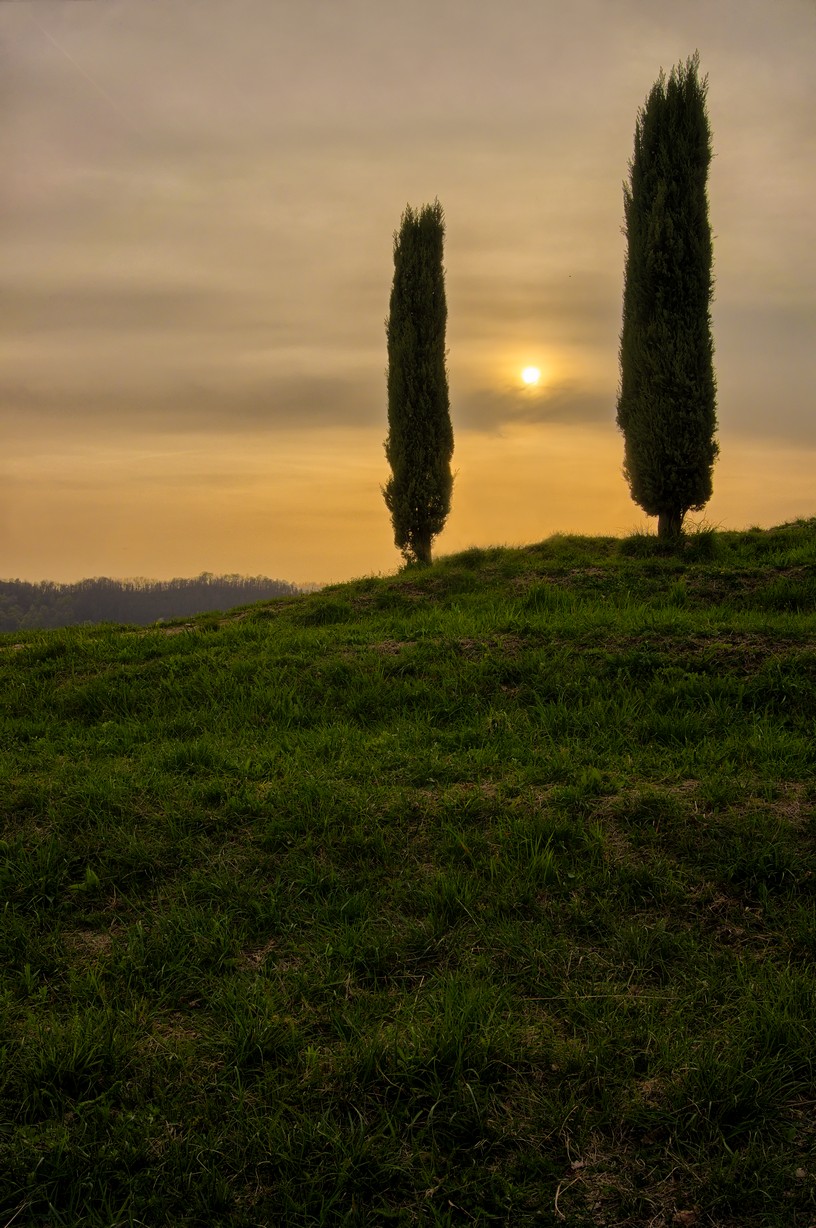 Park of the Curone 02...