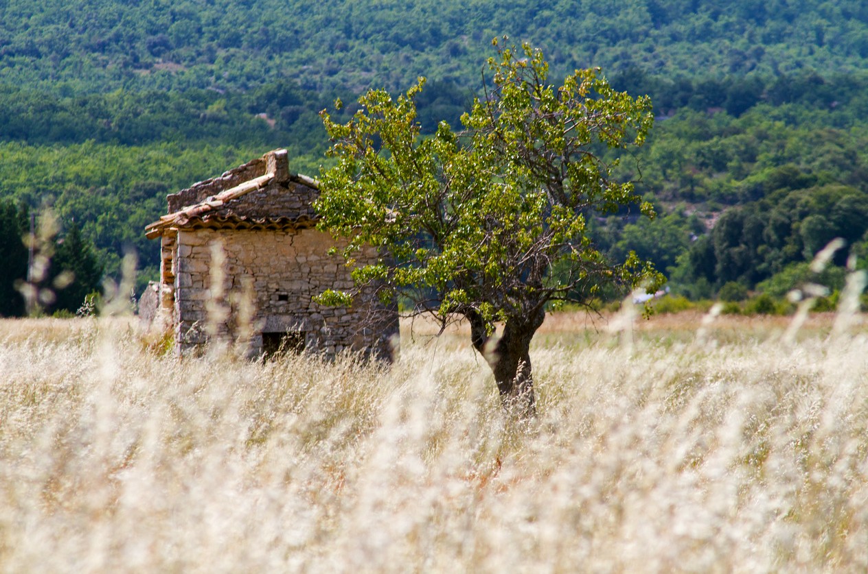 Provence 01...