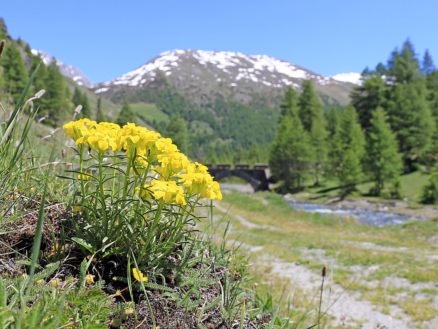 Valle Argentera (Turin)...