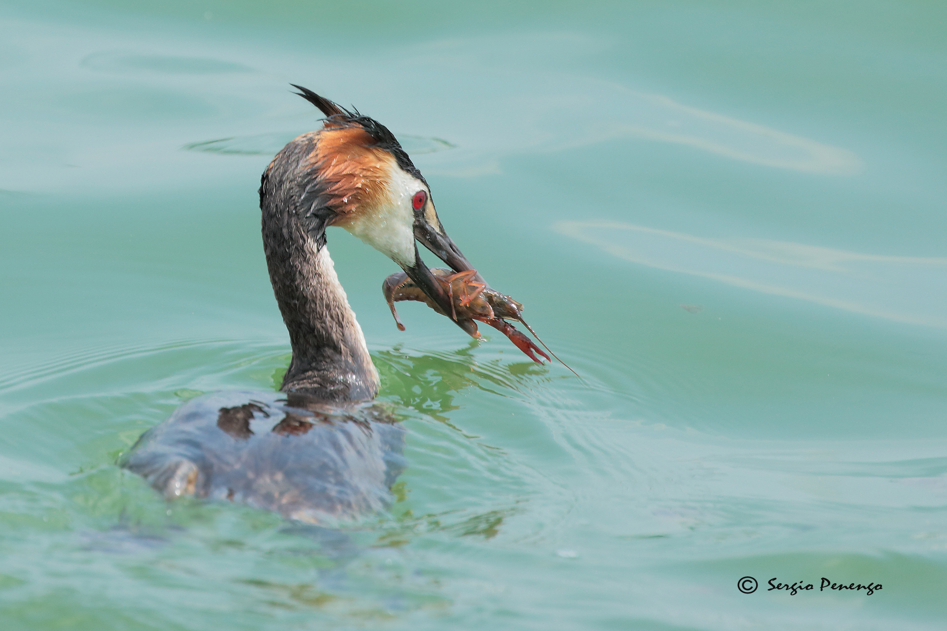 "The Fishing of the Wild"...