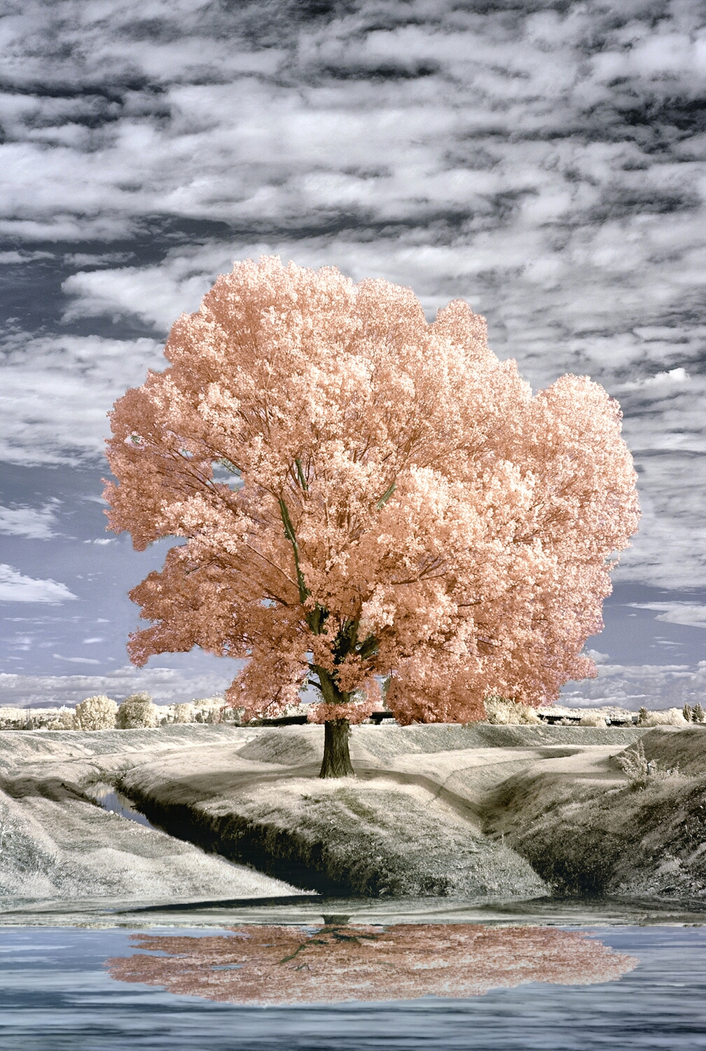Playing with the ir...