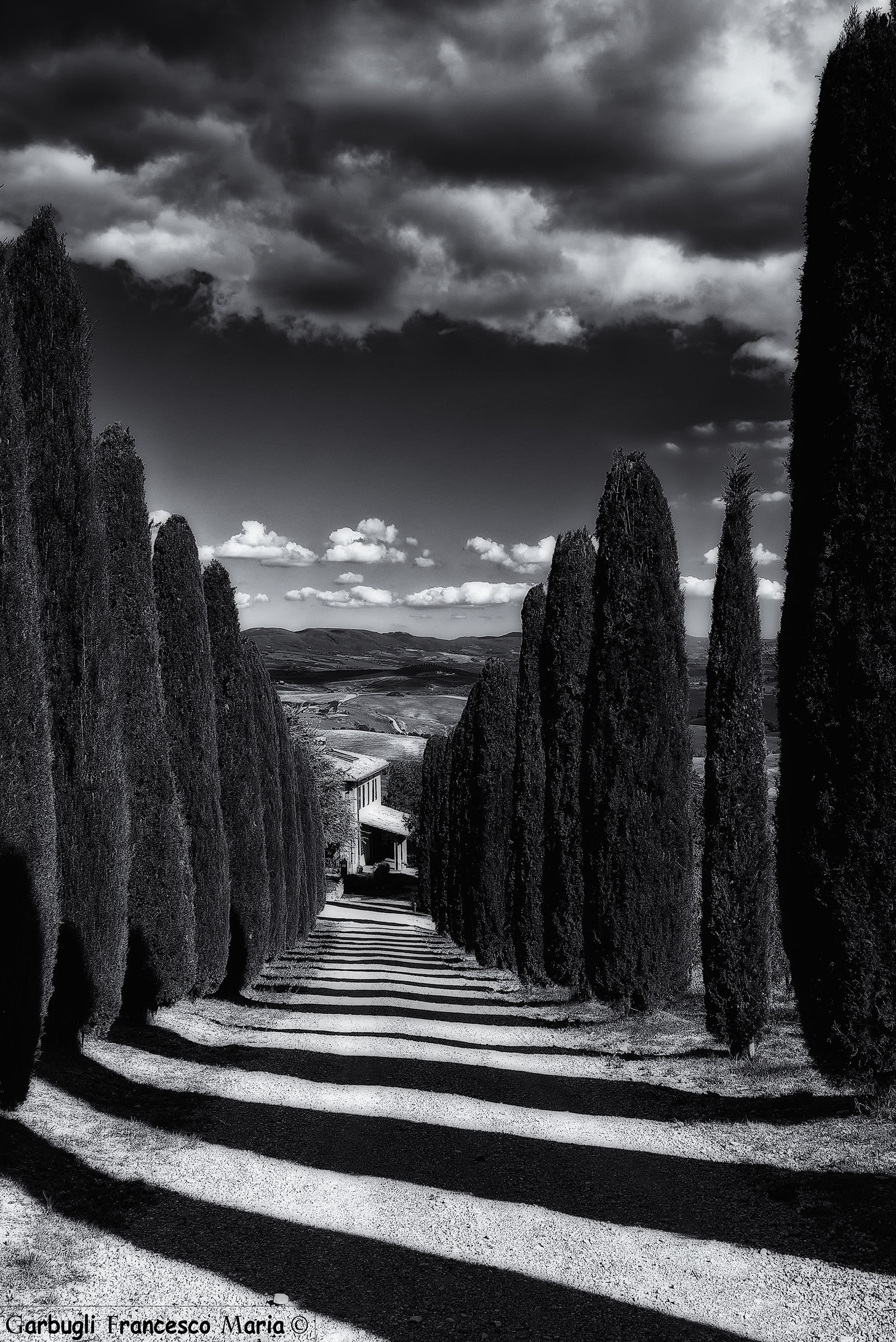 Natural lines in Val d'Orcia...