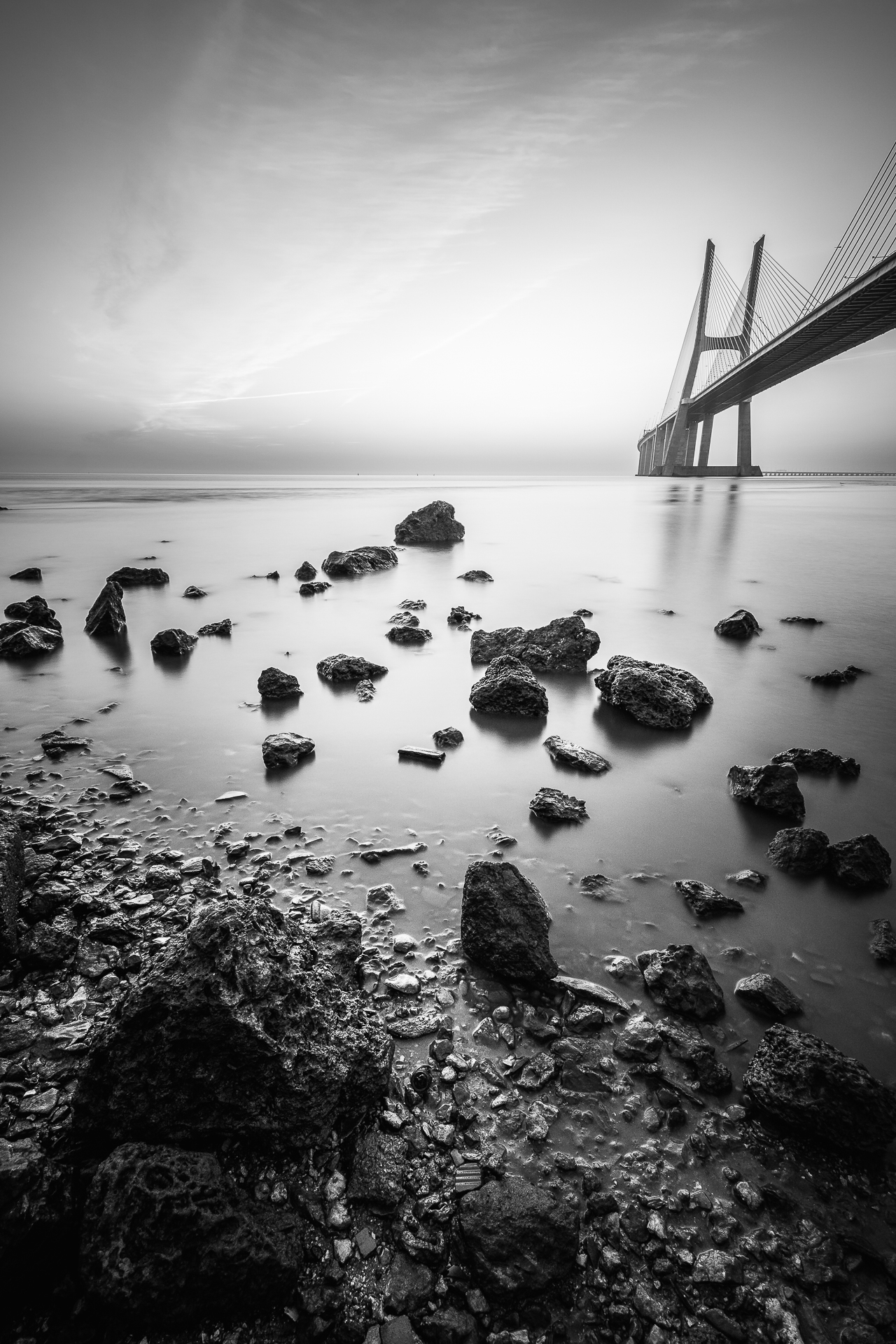 Untitled Photo...