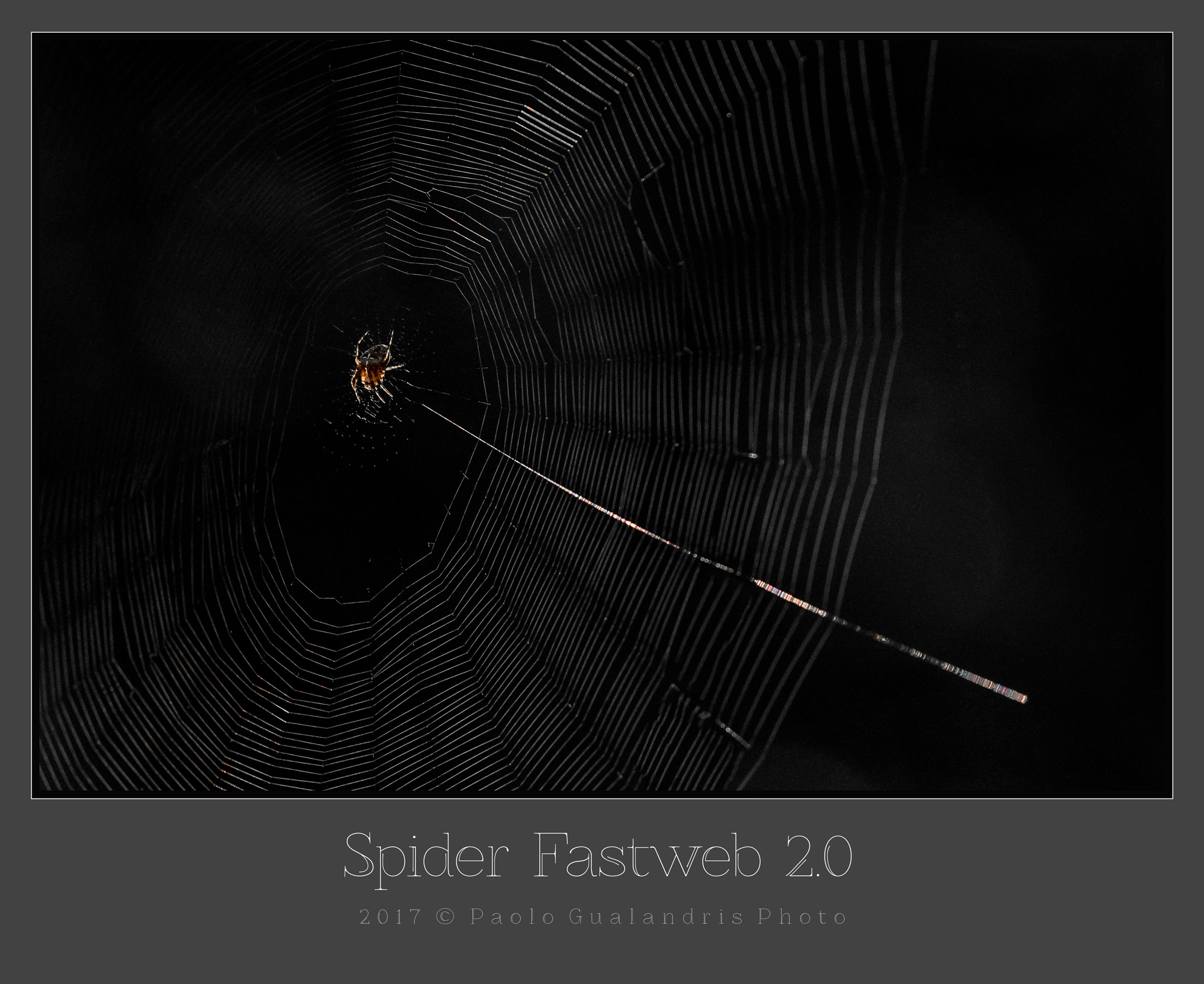Spider Fastweb 2.0...