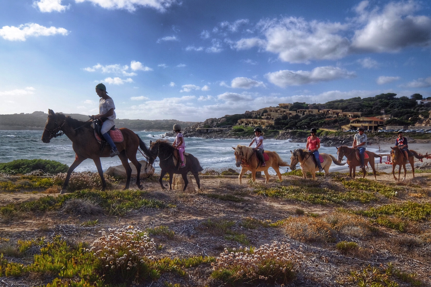 Horses at Santa Reparata Bay...