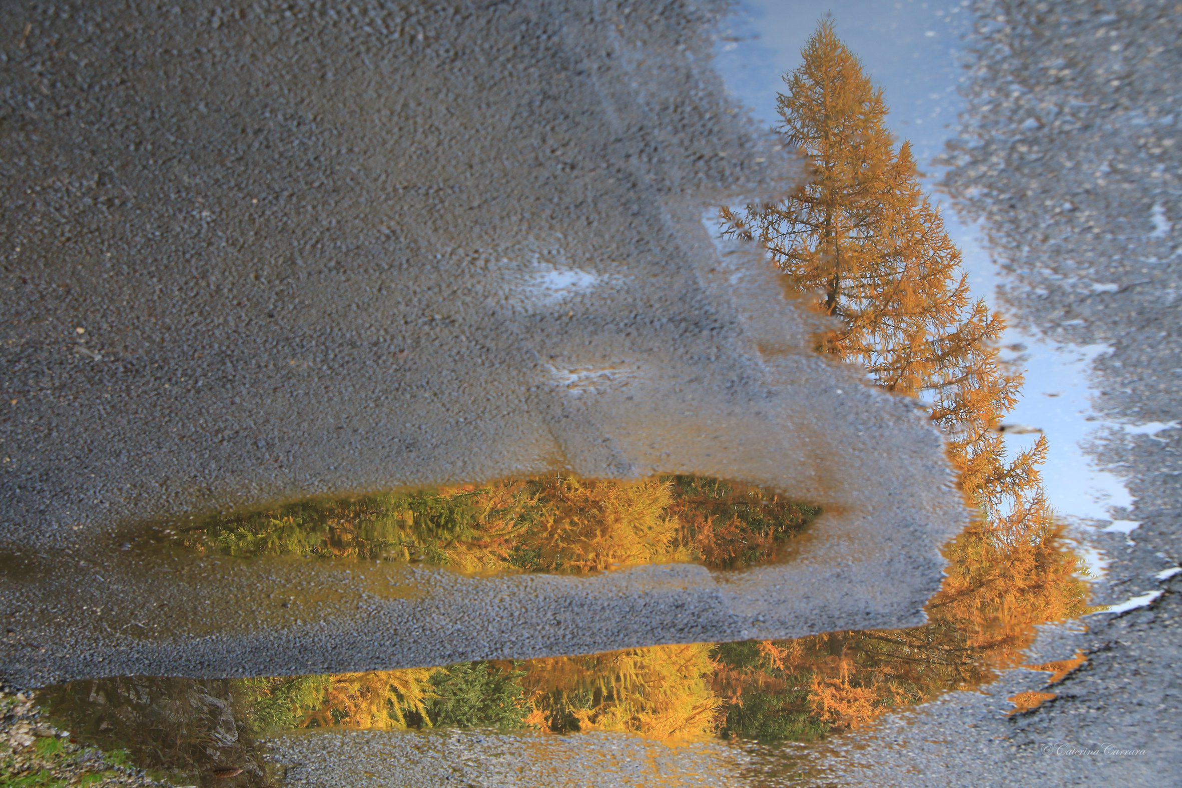 Autumn Reflections!...