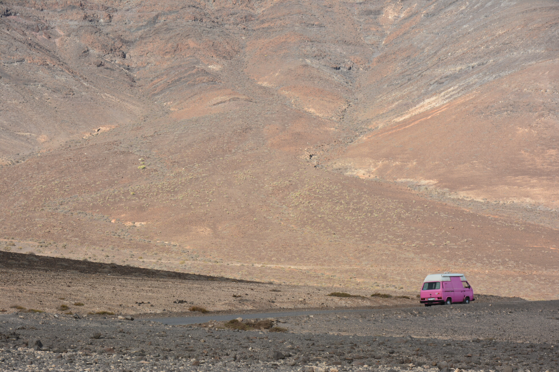 Pink Wagen...