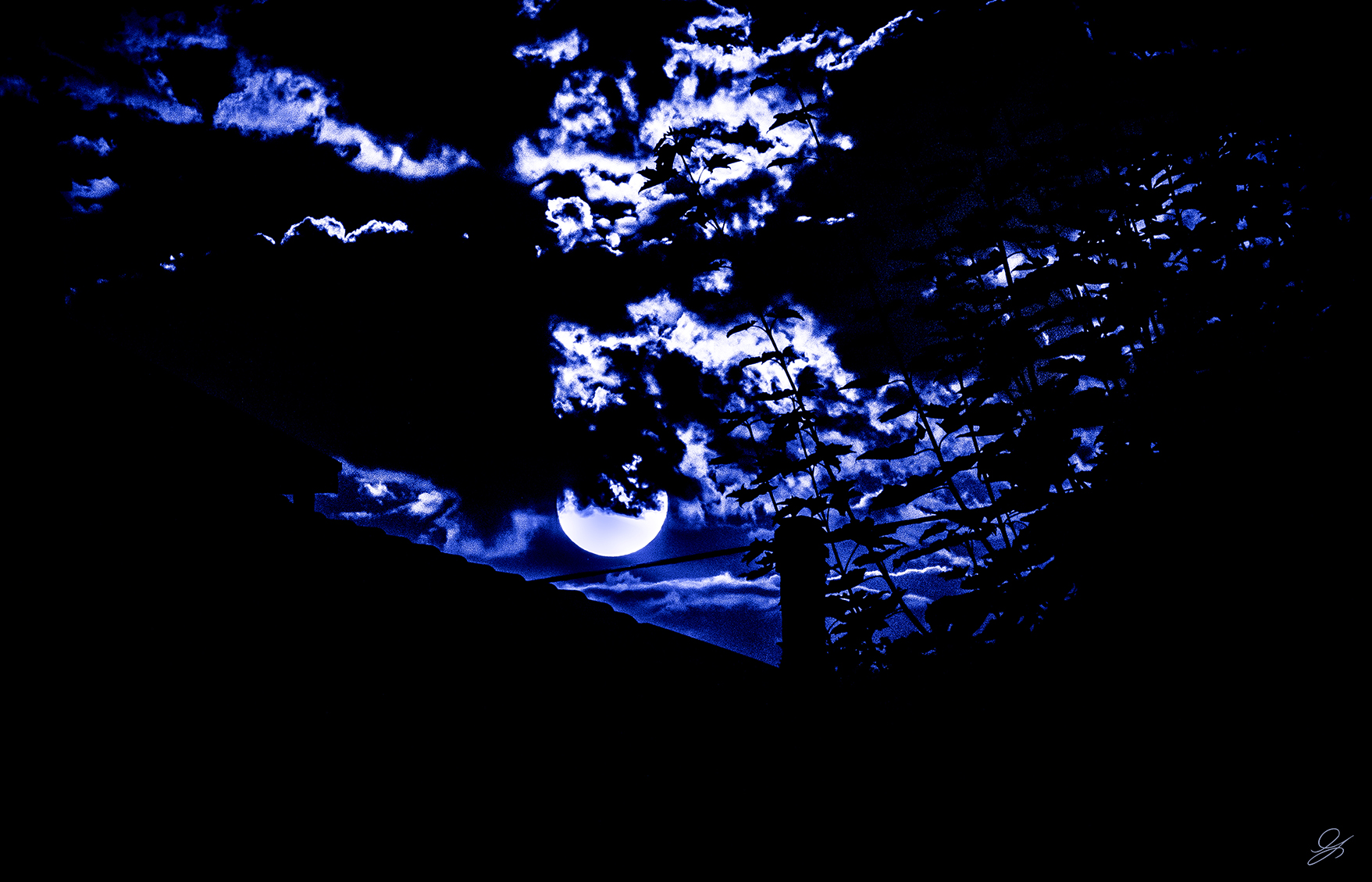 In the moonlight?...