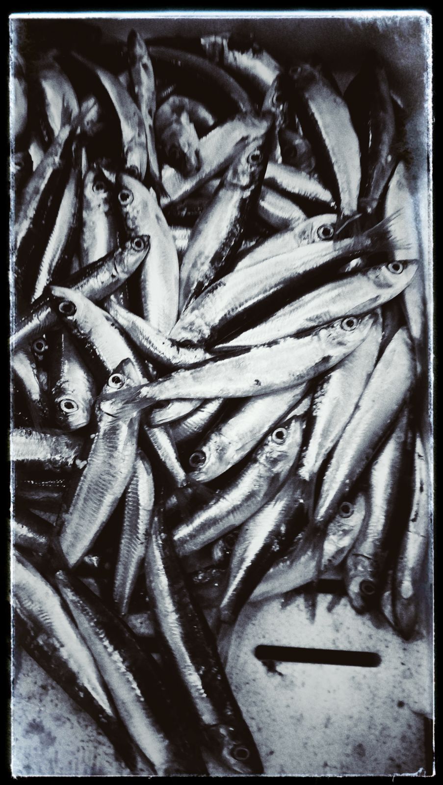 Still life...