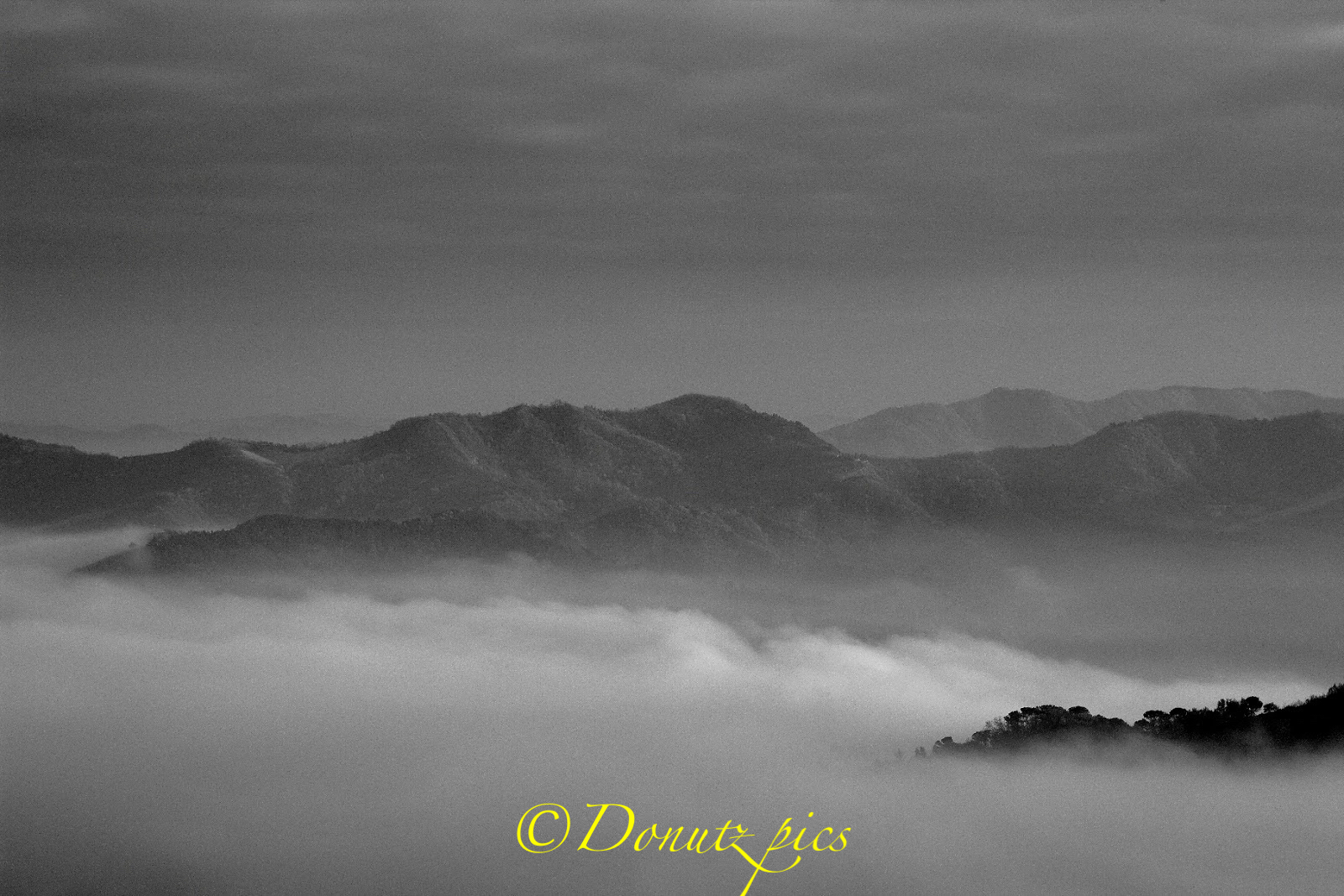 Peaks and mists 1...