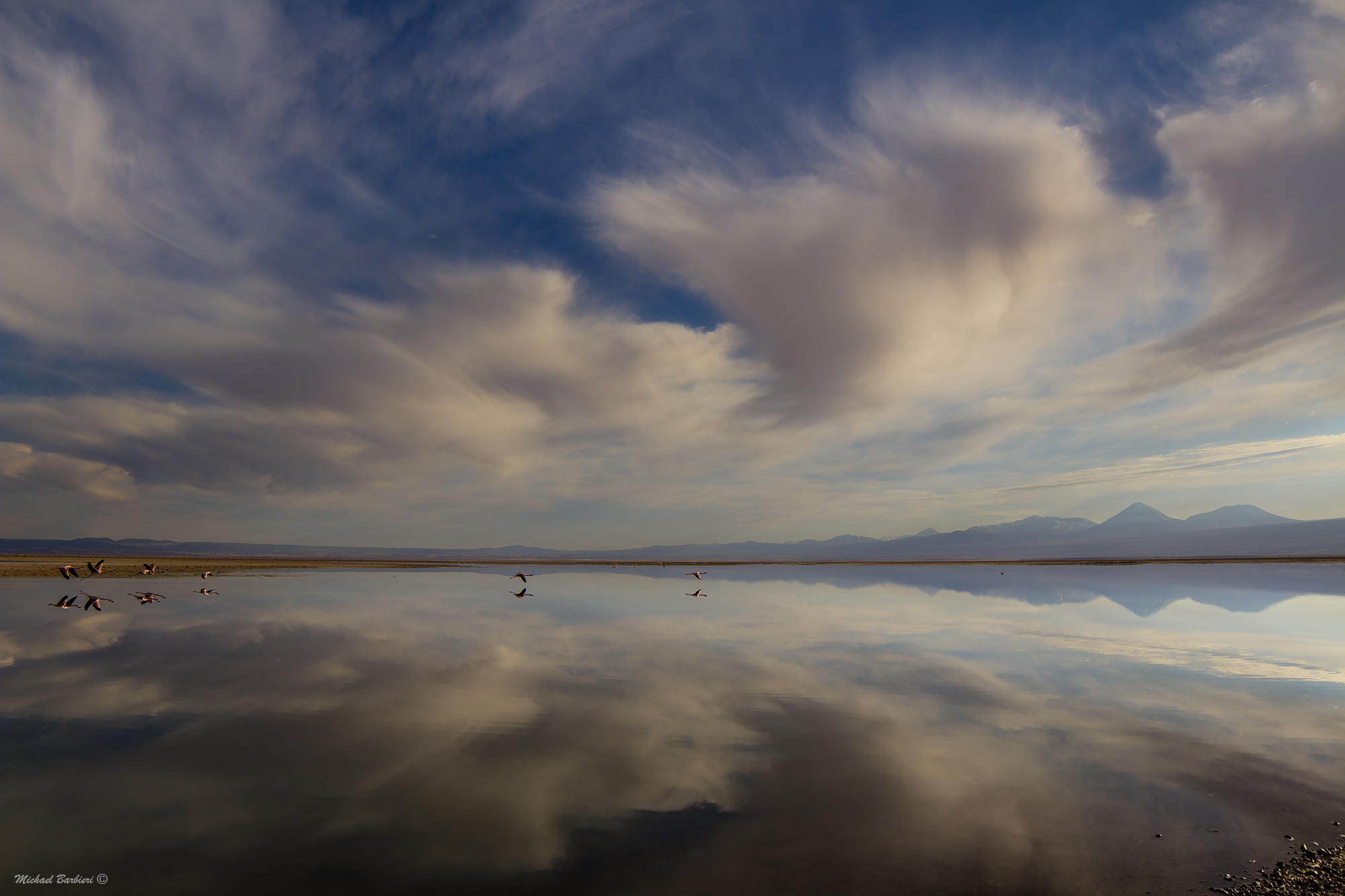 Laguna Chaxa - San Pedro de Atacama - Chile...