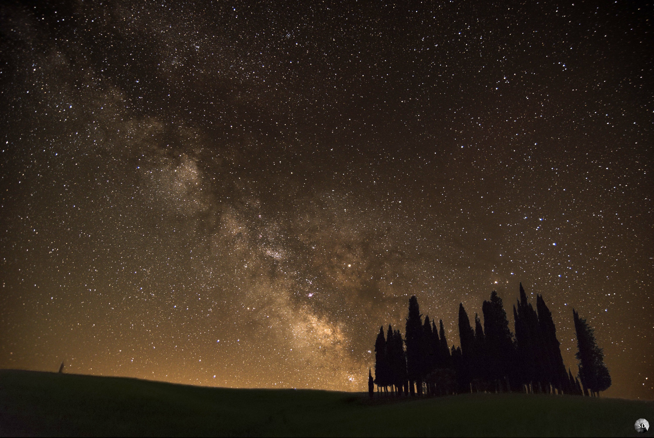 The Cypresses and the Milky Way...
