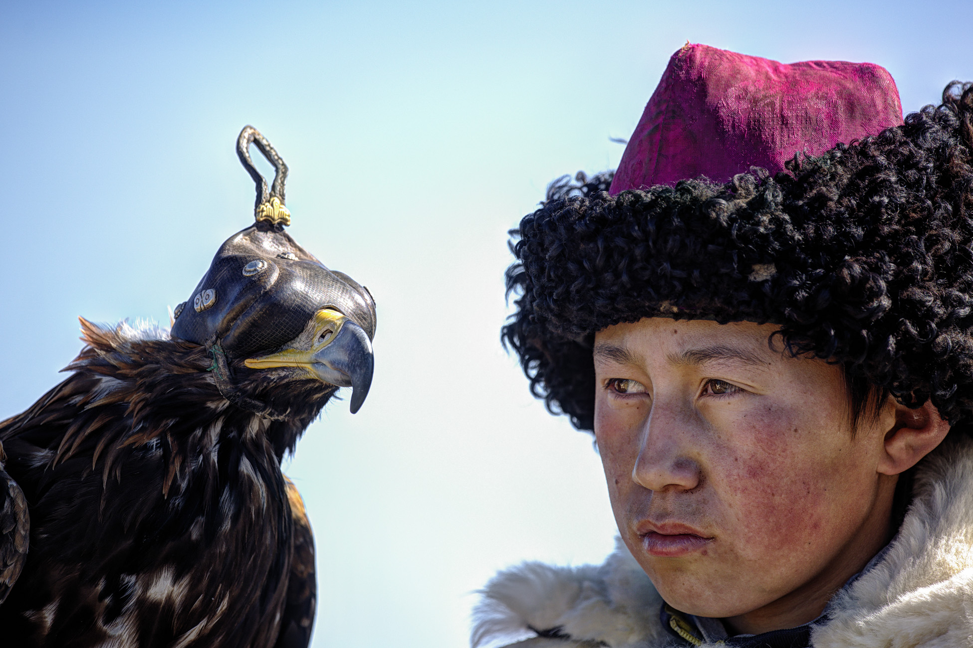 Small hunter with her eagle, Mongolia...