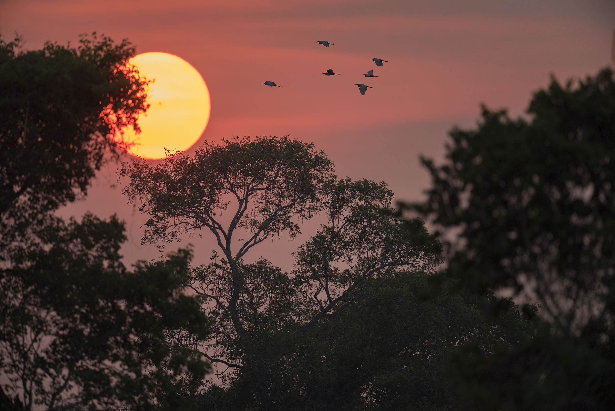 Sunset at the Pantanal...