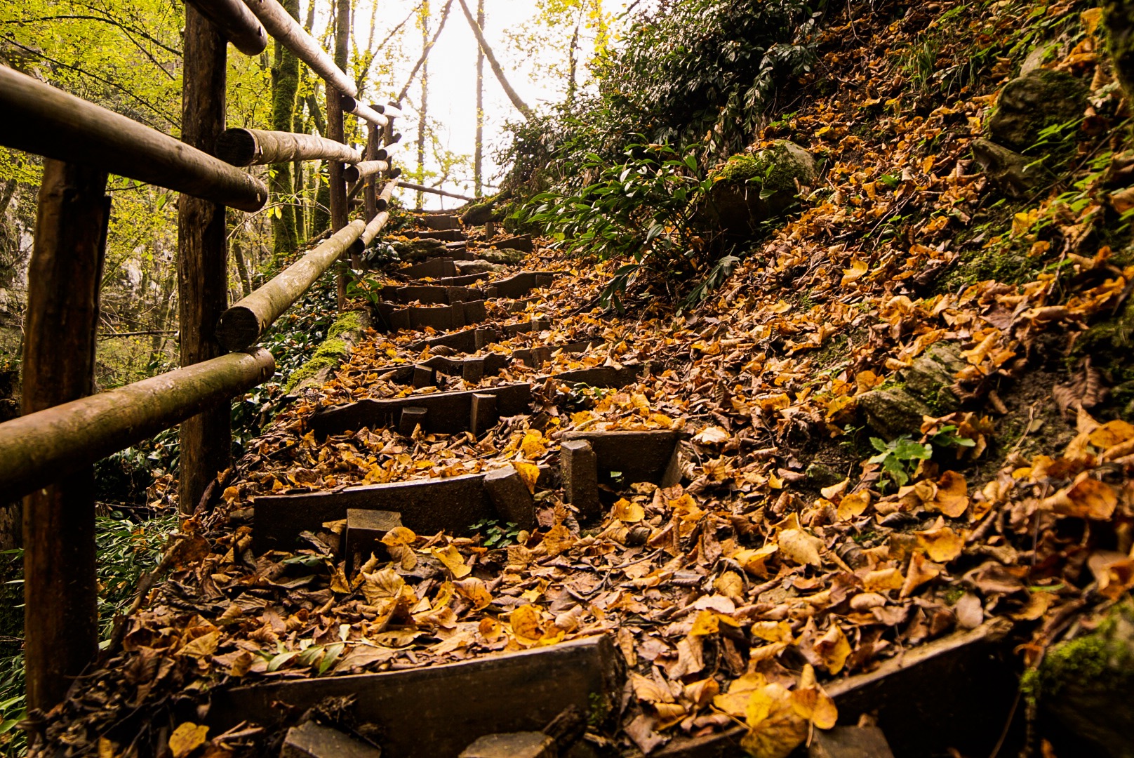 Autumn Stairway...