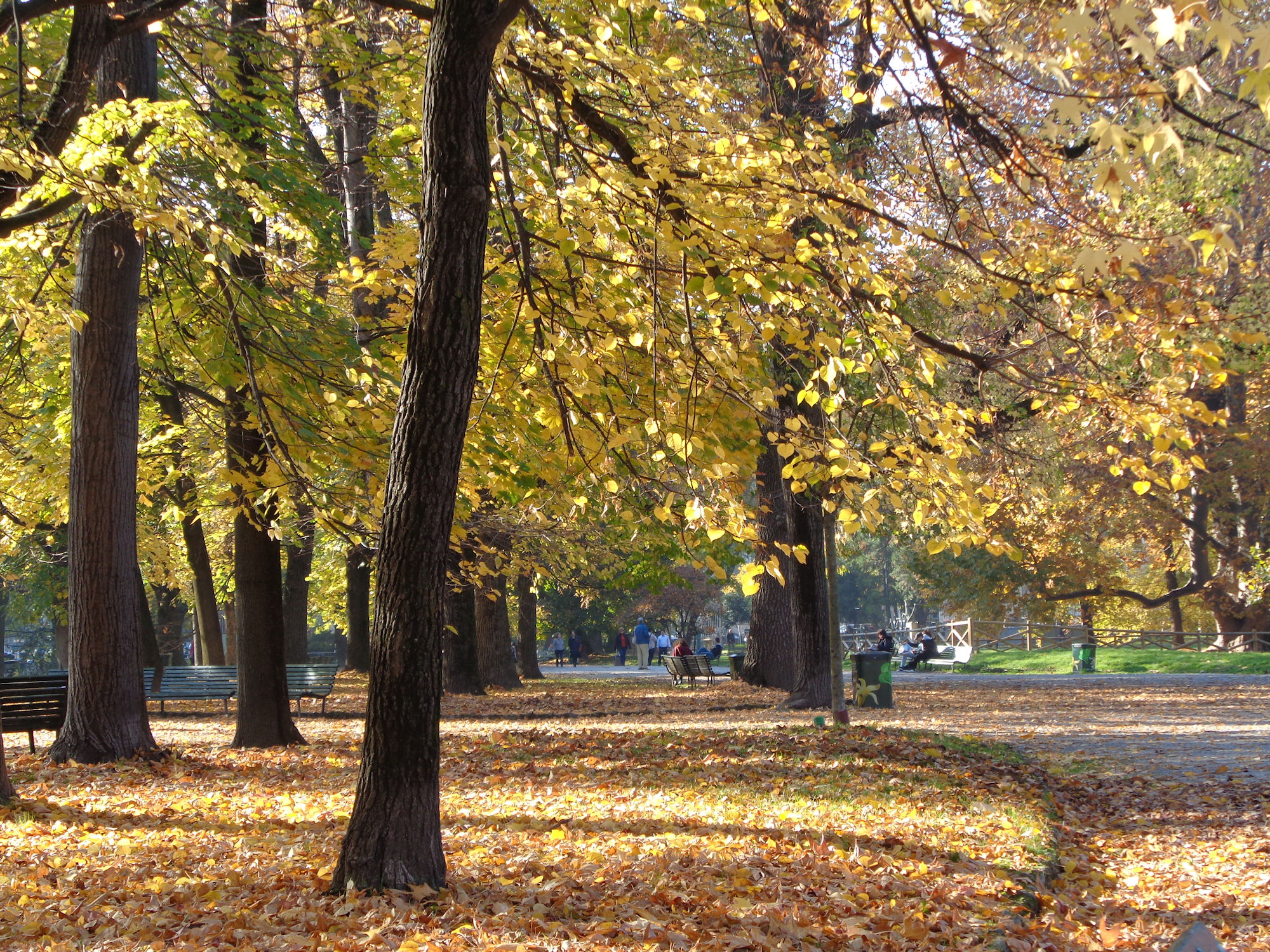 Public Gardens of Porta Venezia...