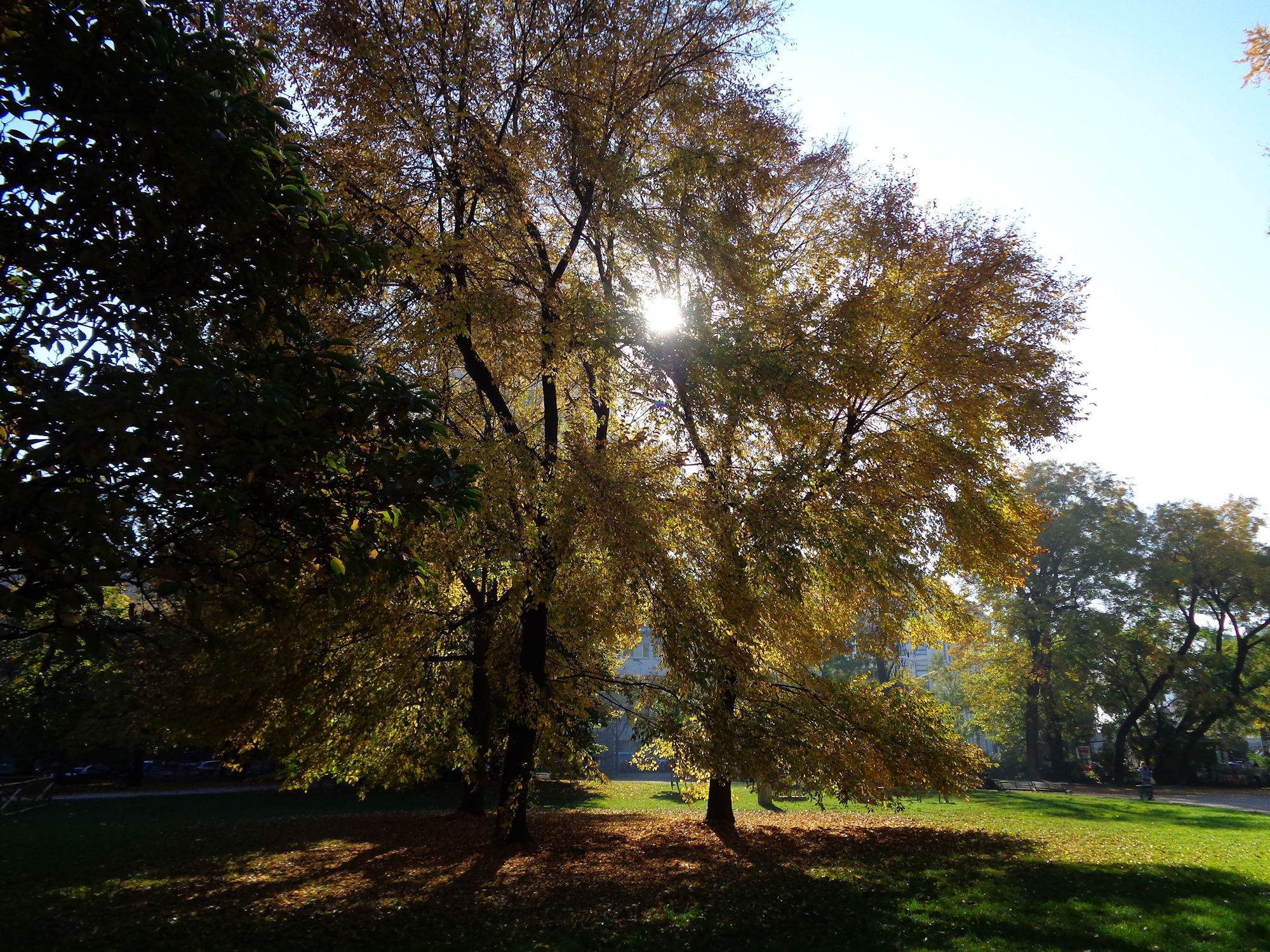 Gardens of Porta Venezia...