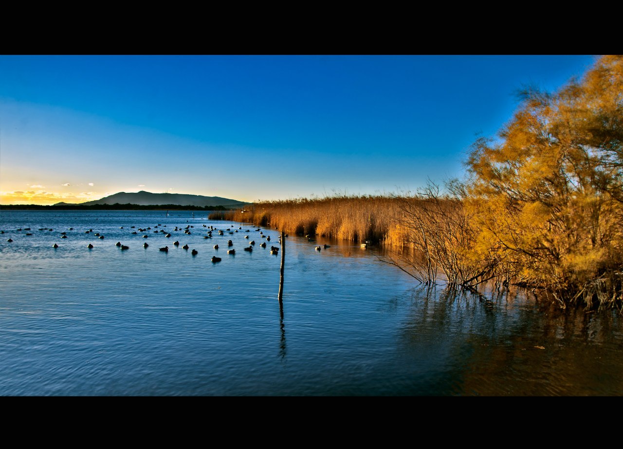 Lake...