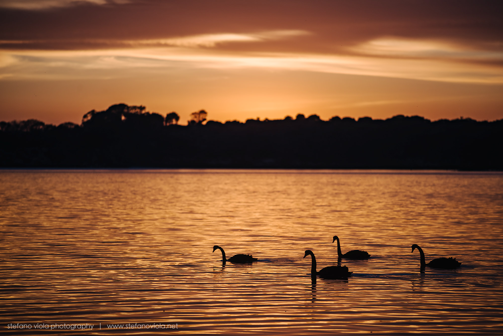 L'alba a Kangaroo Island...