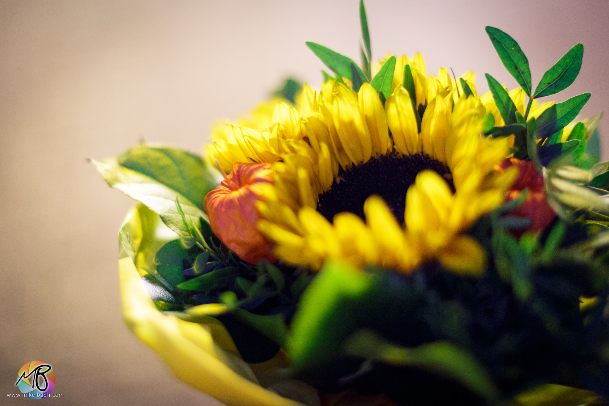 Pensiero.. come un girasole al tramonto...