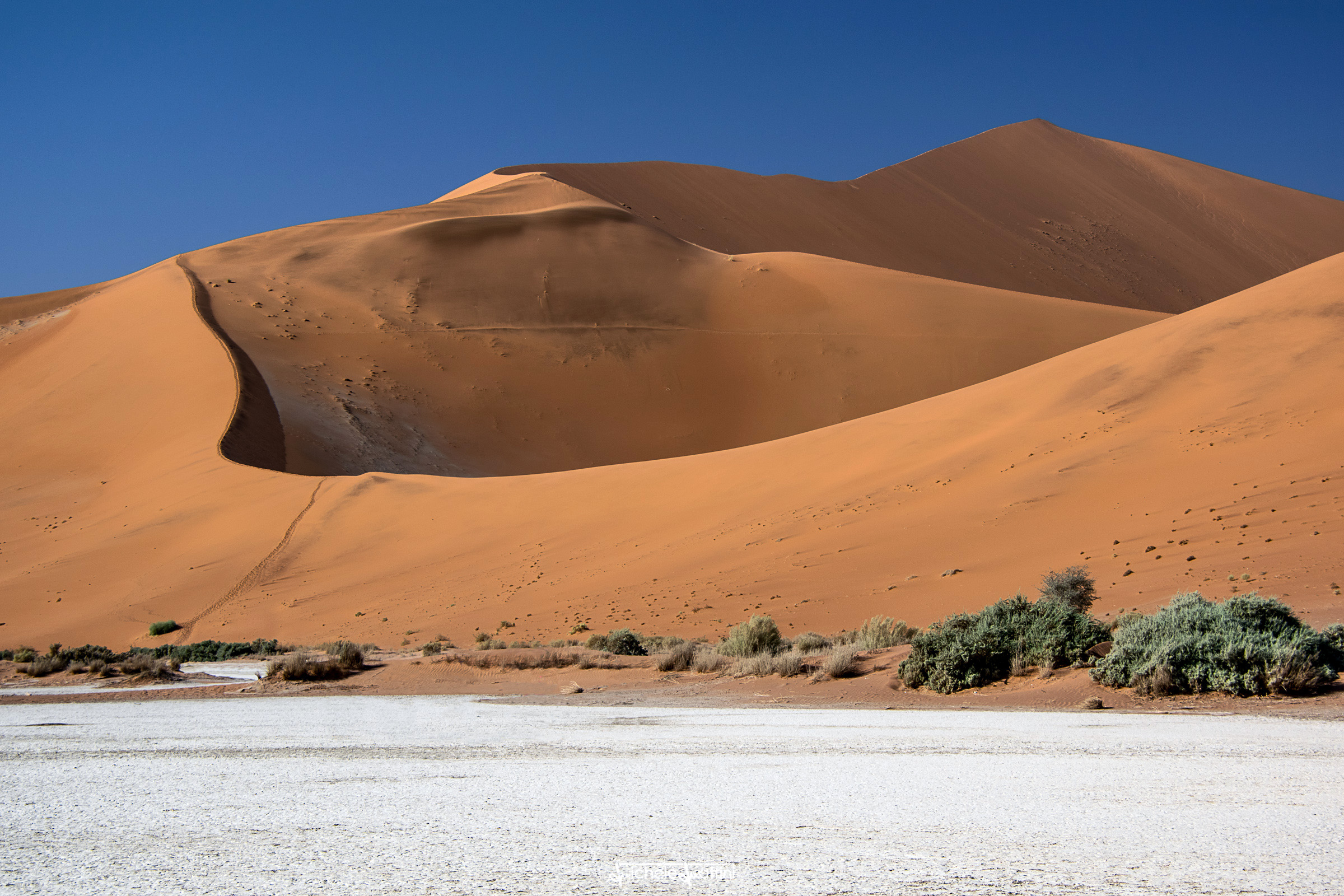 Namibia - Big Daddy...