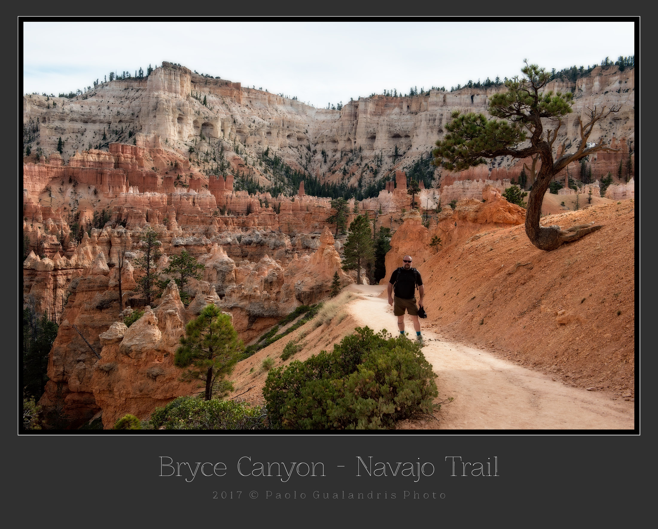 Bryce Canyon. Navajo Trail...