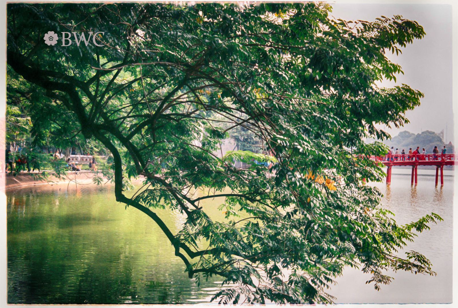 Film Shot: A Lake In Some HDR...