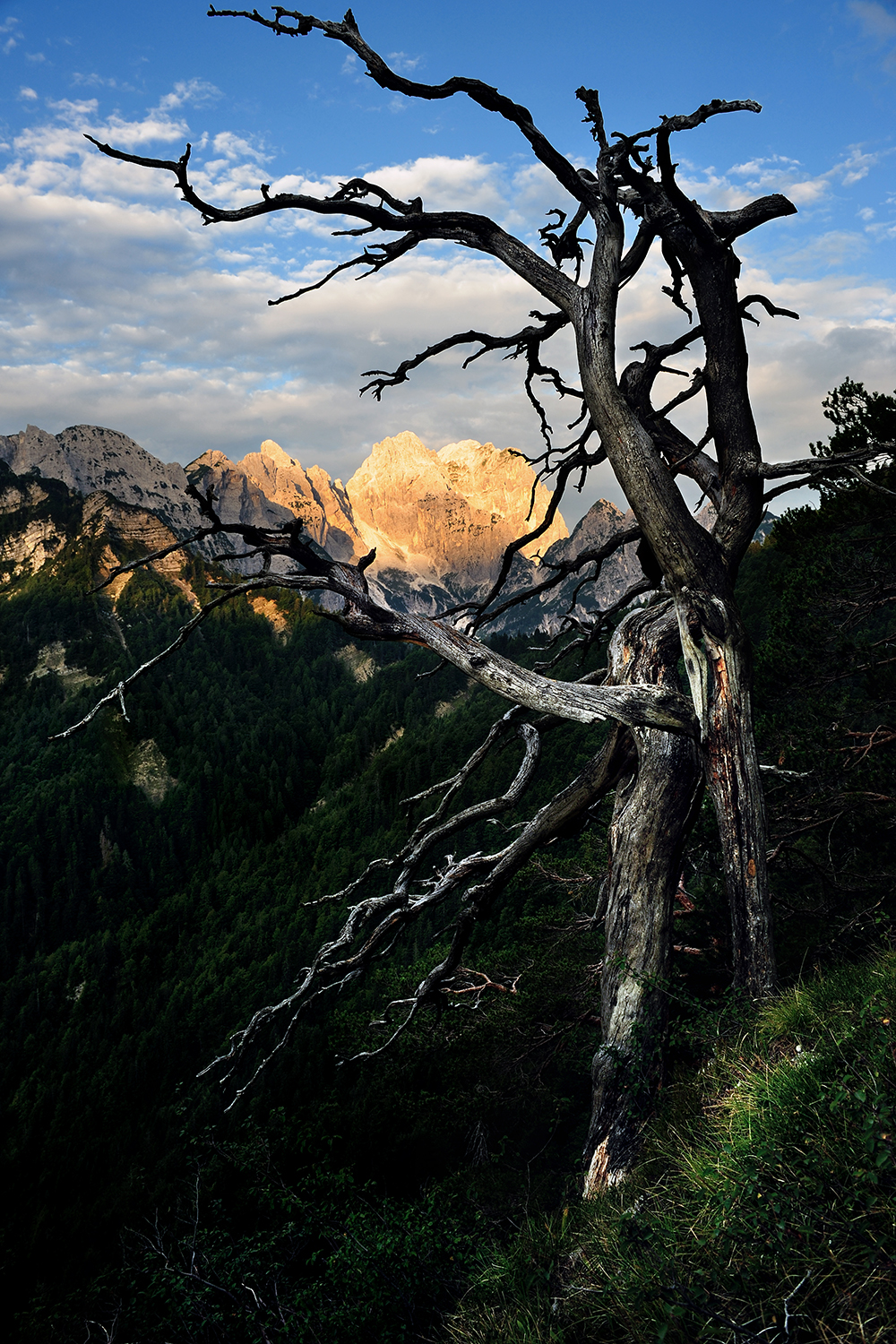 Morning light - Julian Alps...