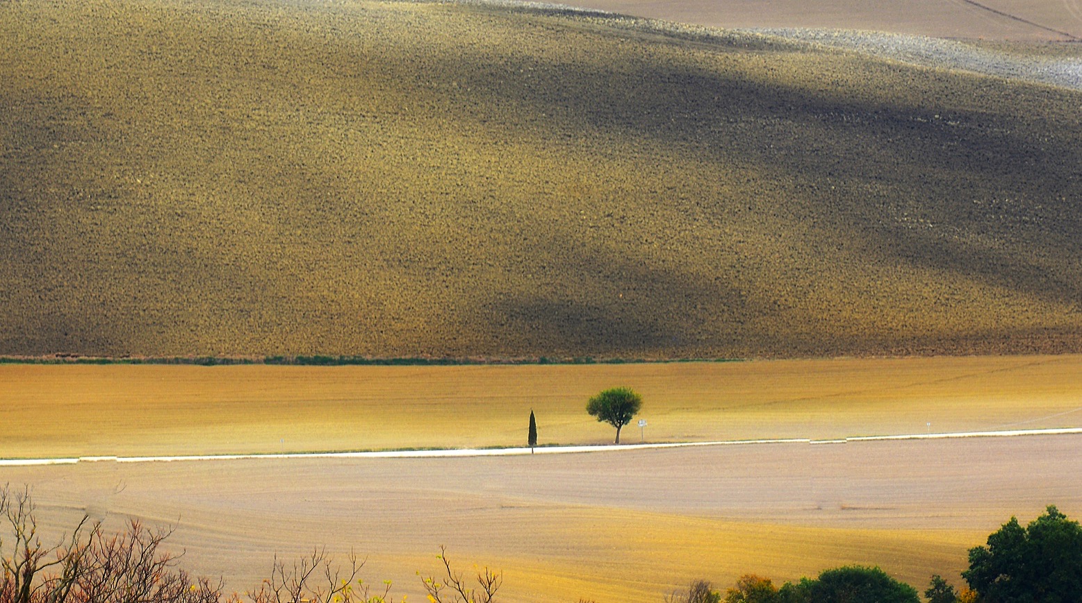 Landscape of the Val d'Orcia...