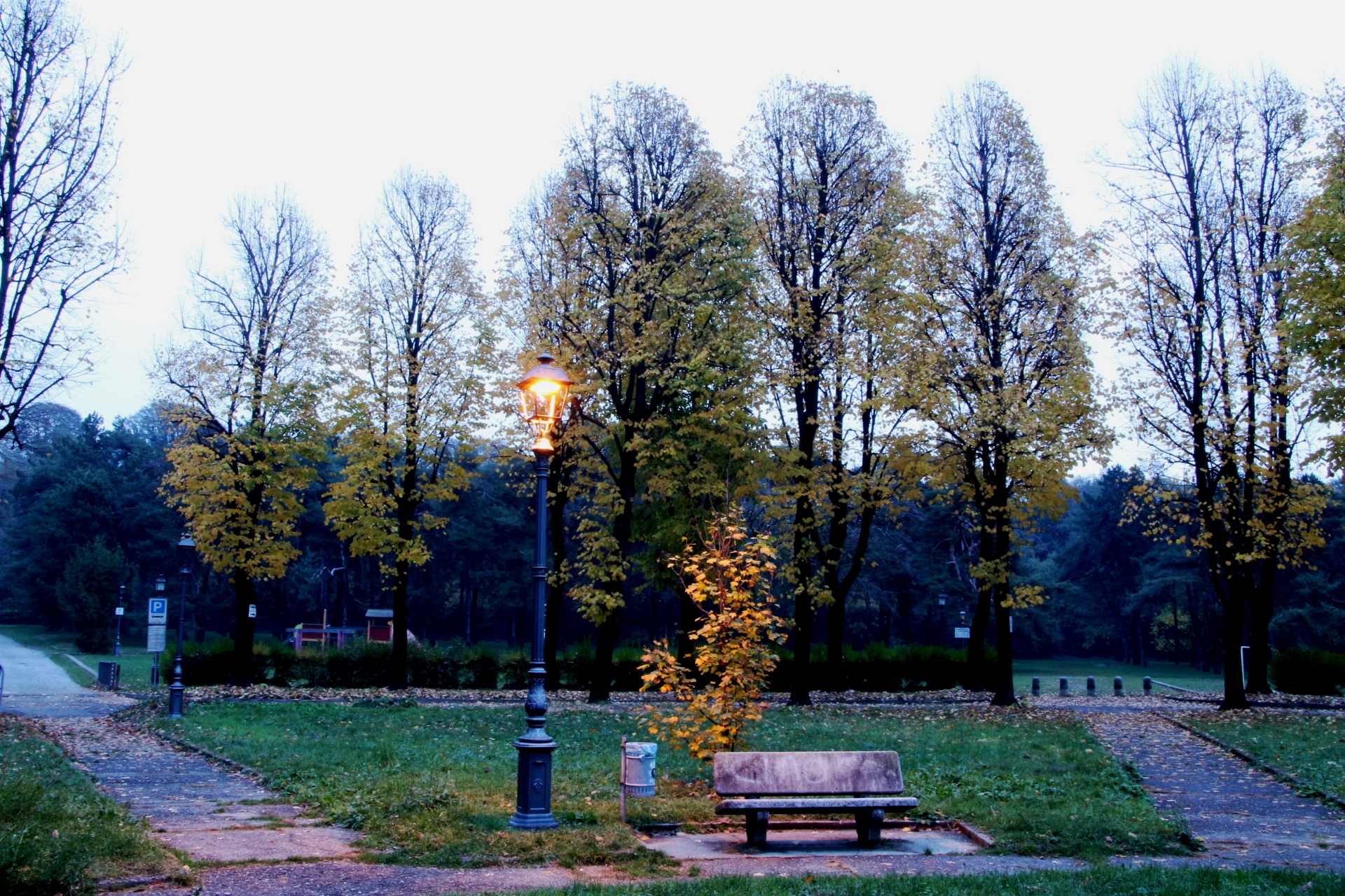 the autumn park...