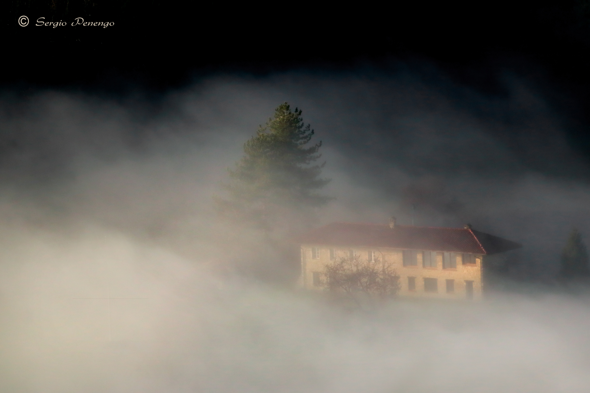 "THE HOUSE IN THE FOG"...