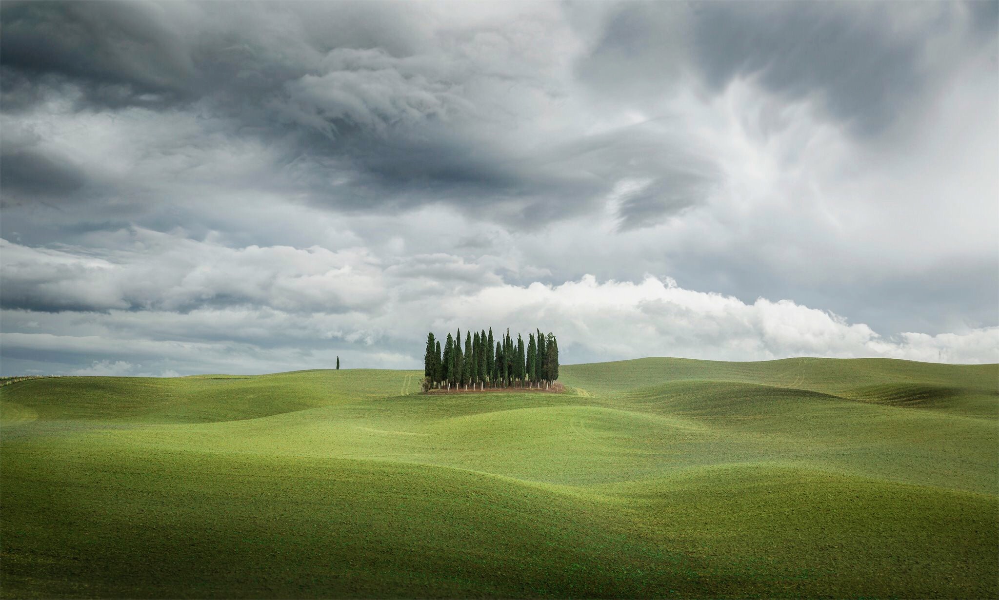 Green in Tuscany...