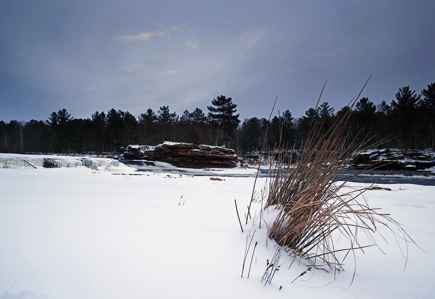 Winter Contrast...