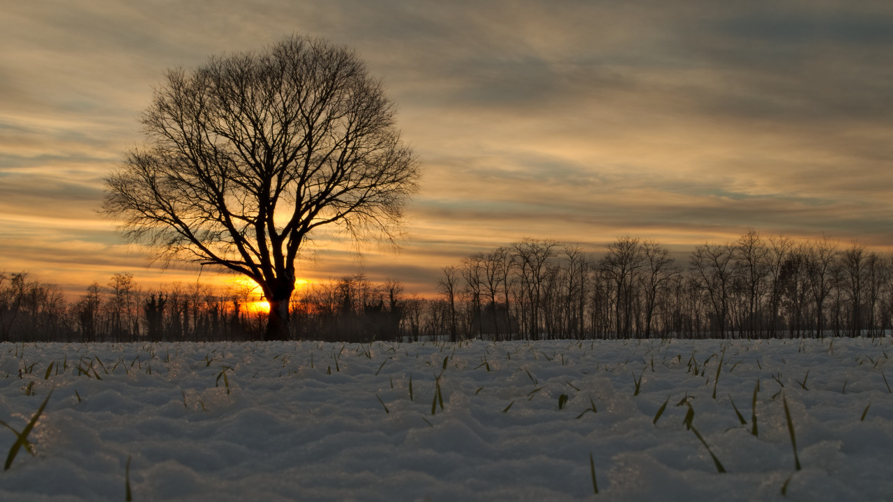 Sunset after a snowfall on the Friuli plains...