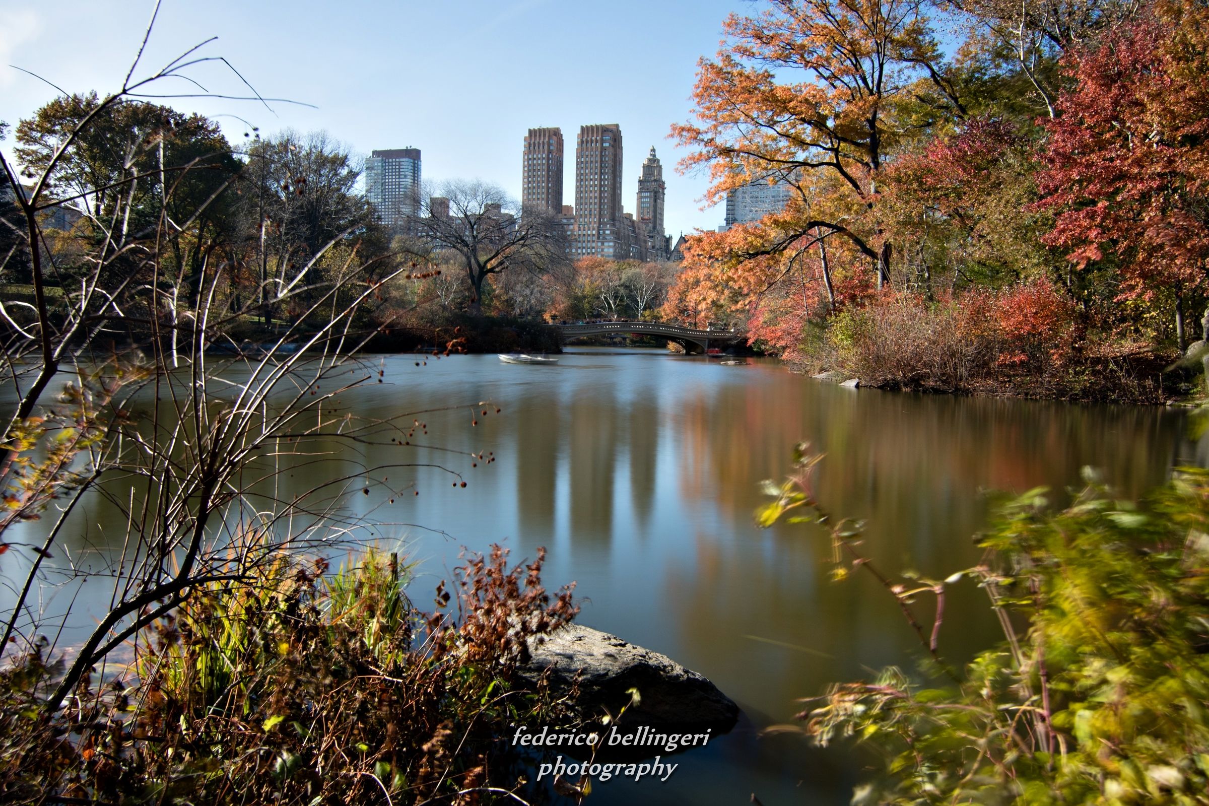 glimpse of ... Central Park...