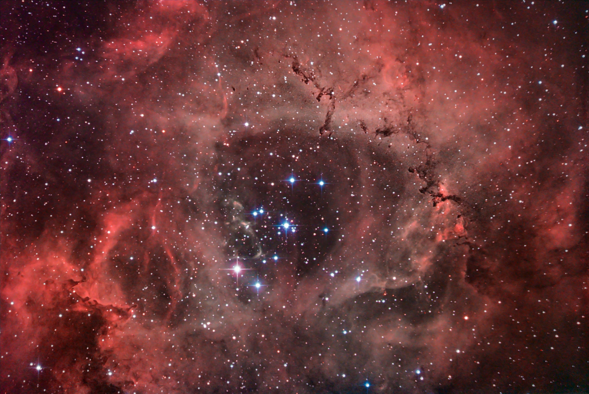 Rosette Nebula...