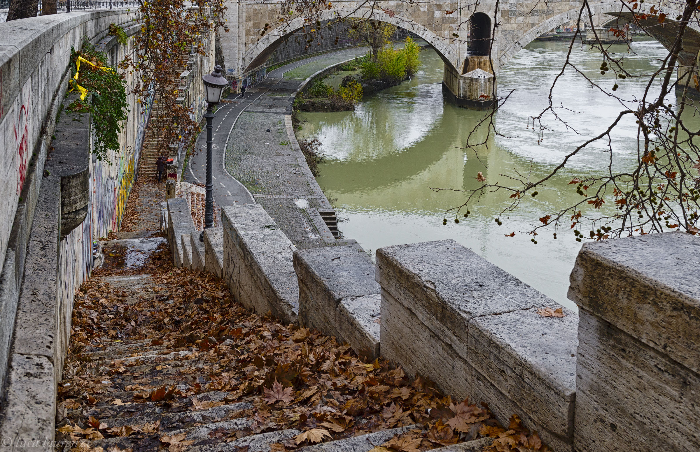 The leaves fall on the long tiber...
