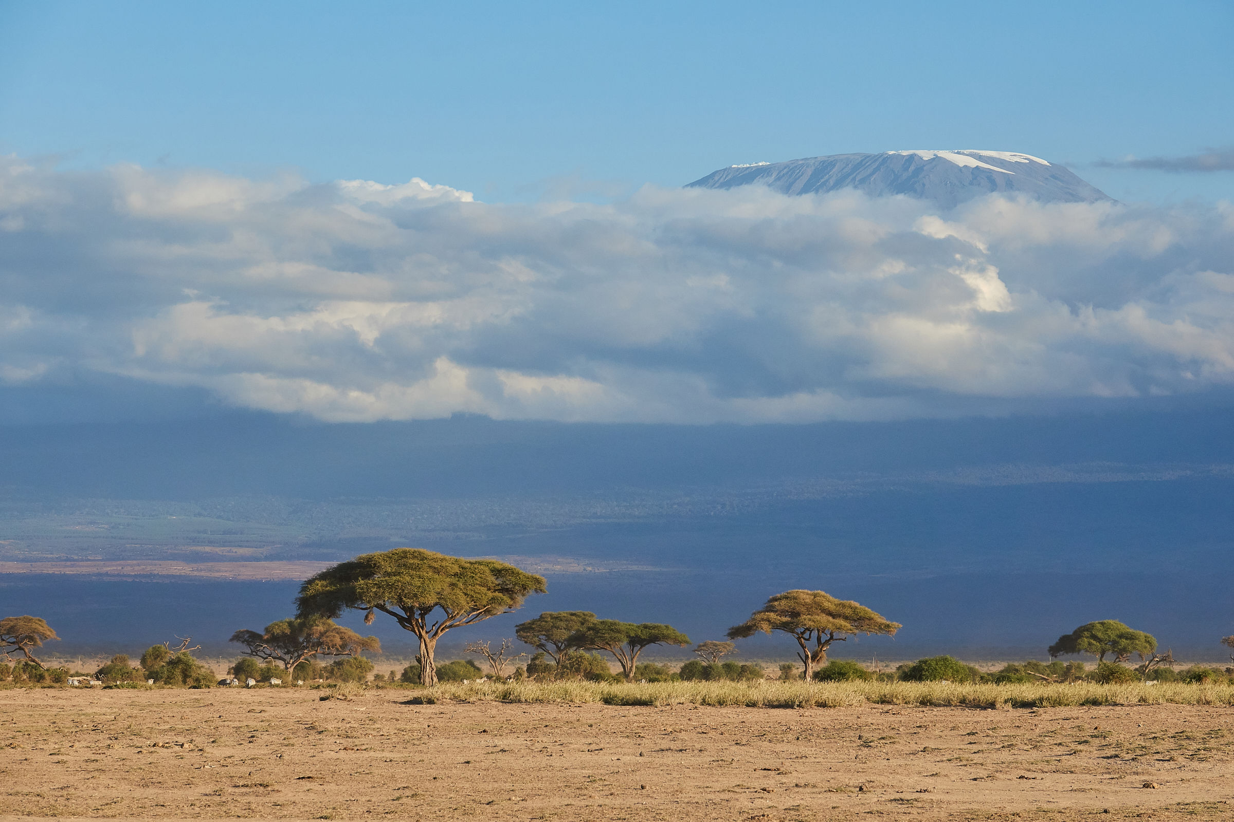 Kilimanjaro mount (Amboseli - Kenya)...