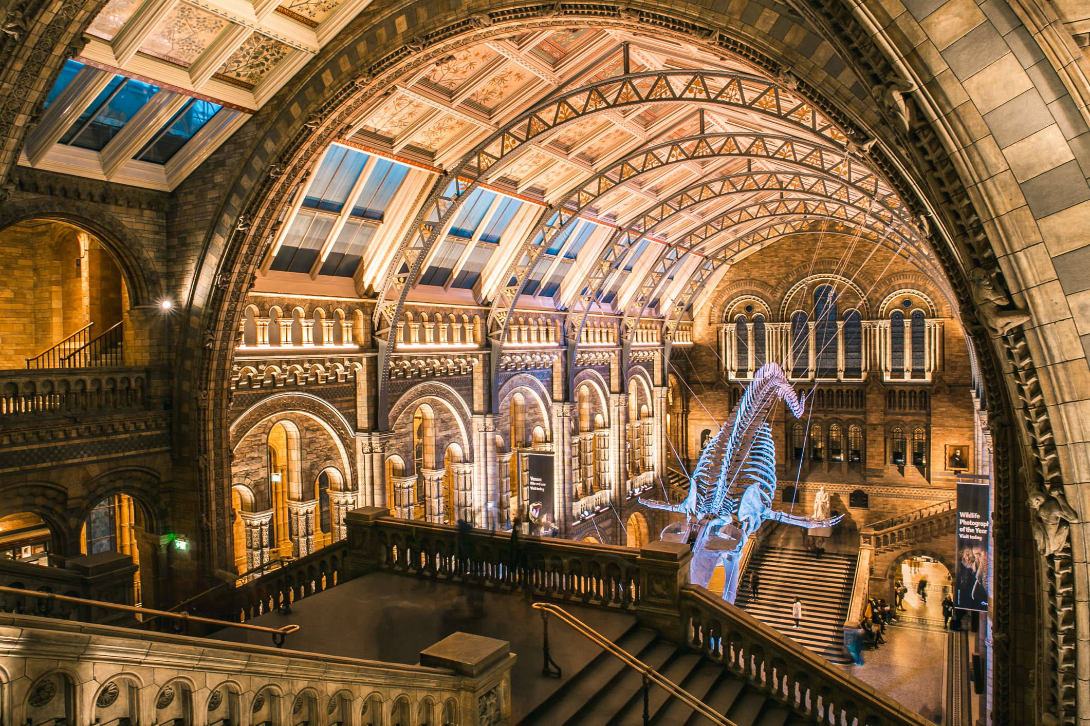 Natural History Museum...