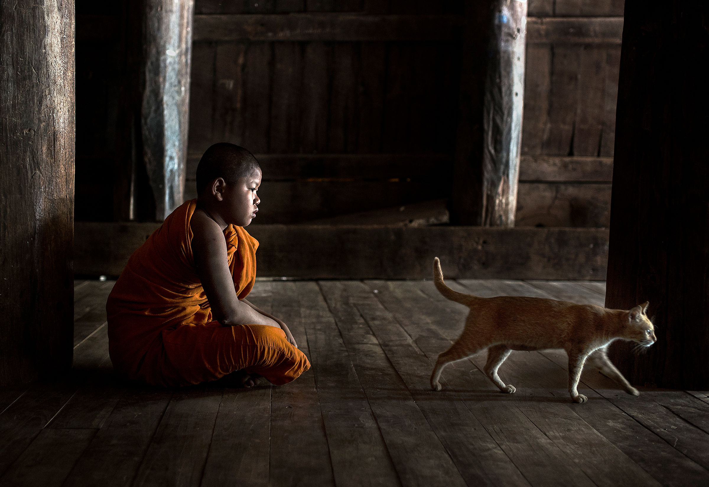 The monk and his cat...