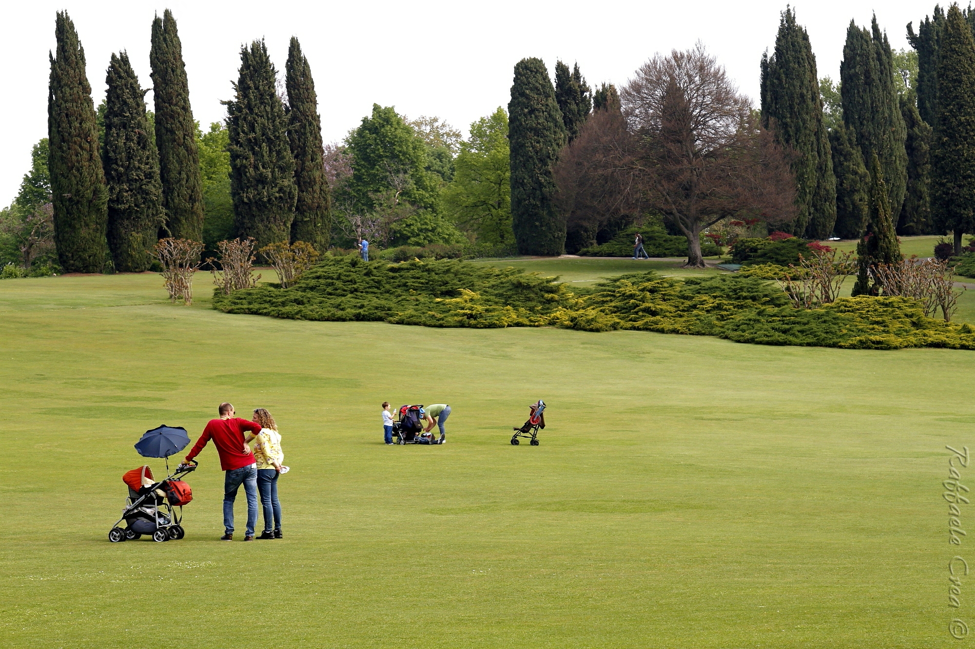 Parco Sigurta':Valeggio sul mincio...