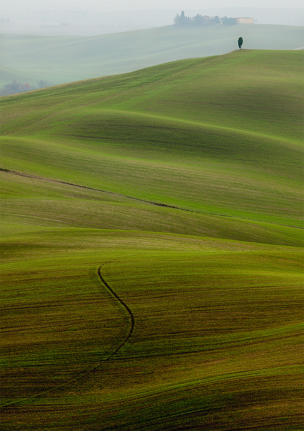 Val D'orcia .... shape and color 7...